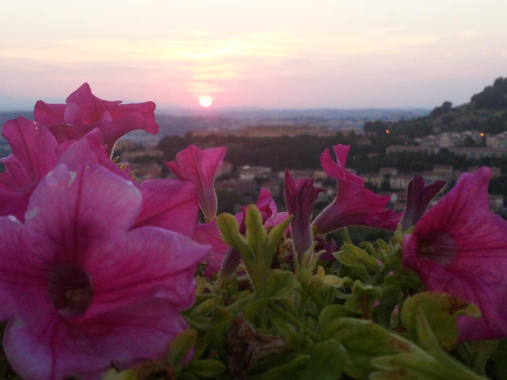 B&B Le Terrazze Fermo Dış mekan fotoğraf