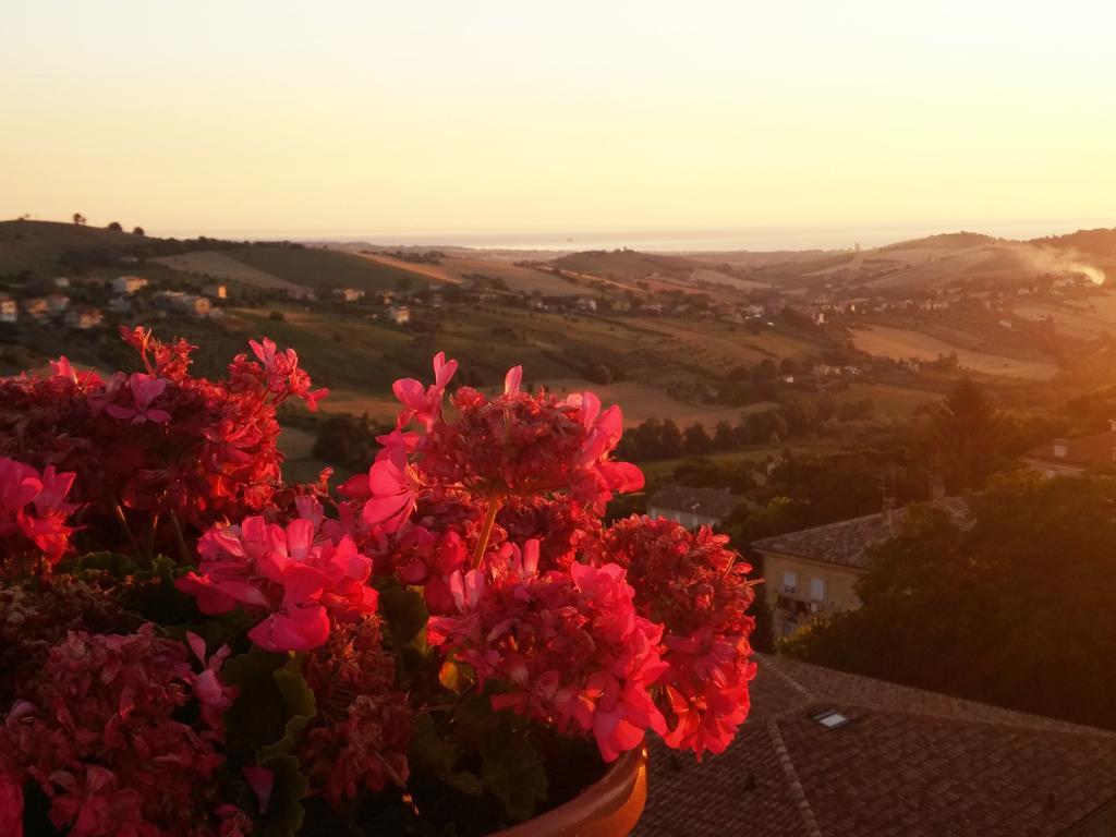 B&B Le Terrazze Fermo Dış mekan fotoğraf